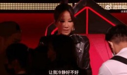 好声音现场爆料视频,精彩瞬间与幕后花絮大曝光