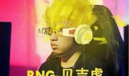 豪哥小虎爆料视频播放,揭秘幕后真相，精彩瞬间回顾