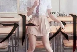 赵宝儿荆棘在线观看,赵宝儿演绎职场女性的成长与挑战