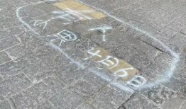 大理新闻爆料,最新爆料揭示事件背后真相