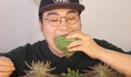 吃瓜小哥网红是谁啊,揭秘“吃瓜小哥”网红背后的故事