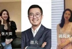 蒋凡张大奕最新爆料小说