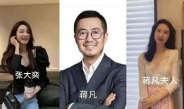 蒋凡张大奕最新爆料小说