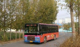 新乡公交车爆料视频,揭秘公交运营背后的真相