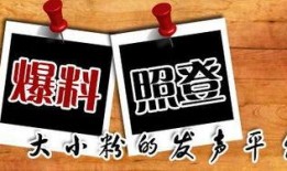 全国新闻爆料平台,聚焦热点，传递民意