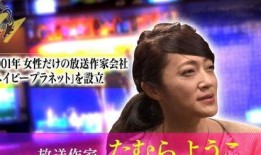娱乐圈爆料艺人报警,真相与争议交织的悬疑事件