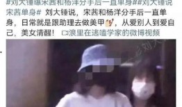 刘大锤最新爆料杨洋直播,揭秘明星直播背后的故事