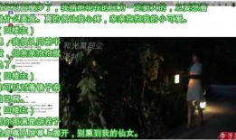 李子柒最新评价外网爆料,田园生活新风尚，网友热议不已