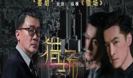 《猎场》在线观看,职场精英的猎杀游戏，揭秘猎头世界的风云变幻