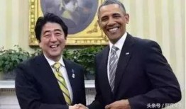 日本爆料竞选总统视频,揭秘幕后黑幕与激烈角逐