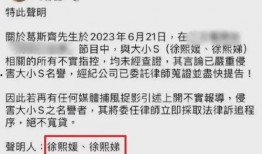 台媒爆料郑钧视频播放,引发网友热议