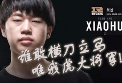 豪哥小虎爆料视频播放,揭秘幕后真相，精彩瞬间回顾