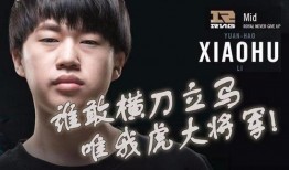 豪哥小虎爆料视频播放,揭秘幕后真相，精彩瞬间回顾