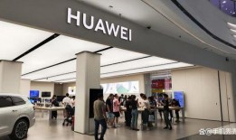 猫女的诅咒在线观看,神秘诅咒下的复仇传奇