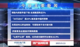 地产爆料视频大全最新网站,揭秘行业最新动态与内幕