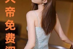 新金瓶内手机在线观看