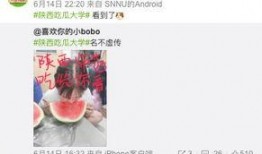 吃瓜视频爆料大学,大学生校园生活背后的惊人真相