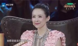 王海爆料章子怡视频播放,真相与争议