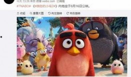 爆料视频动画片在线观看