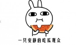 娱乐吃瓜酱如何赚钱的,揭秘网红如何通过吃瓜赚钱的秘密