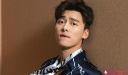 媒体爆料李易峰视频播放,揭秘背后真相
