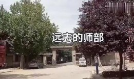 蒲城最近爆料事件视频,视频揭露惊人真相，真相大白！