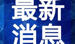 蛋挞派对爆料视频大全最新,精彩瞬间回顾