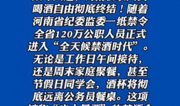 河南网友爆料视频大全集,真实记录民间生活百态