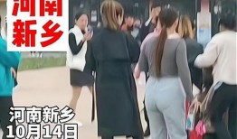 河南网友爆料视频大全集,真实记录民间生活百态