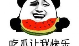 娱乐吃瓜 八卦,揭秘明星背后的八卦秘闻