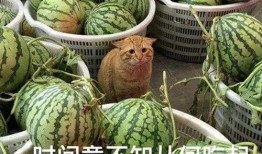 近期吃瓜最新爆料,揭秘明星背后的惊人真相！