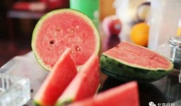 朝堂吃瓜第24集免费观看,宫廷秘闻大揭秘，免费观看精彩不容错过