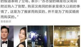 辉贤韩网爆料最新消息,最新热点事件深度解析
