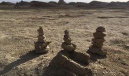 瓜洲免费吃瓜在哪里,寻味夏日甜蜜时光