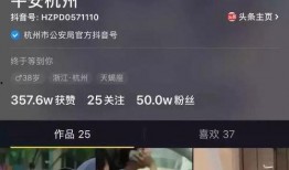 台湾小凯爆料视频播放在线观看,独家内容在线观看解析