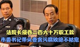 电视剧市委书记在线观看,在线见证权力与民心的较量