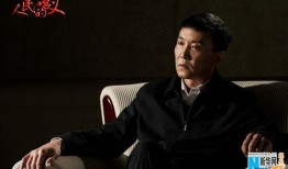 电视剧市委书记在线观看,在线见证权力与民心的较量