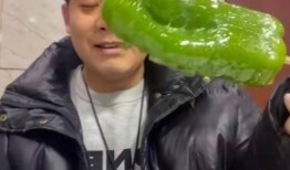 吃瓜网红樊双婷,吃瓜界的风云人物