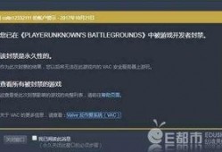 锤哥其他爆料视频,独家爆料背后的精彩故事