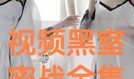 黑室密战在线观看,揭秘神秘情报机构的隐秘较量