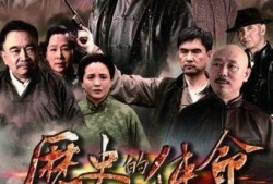 历史的使命电视剧全集在线观看,再现革命风云，重温峥嵘岁月