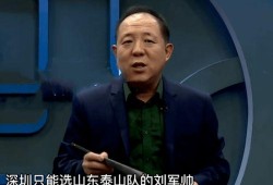 上海上港袁野最新爆料,上海上港队内最新动态与幕后故事