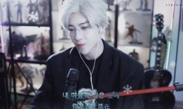 爆料刘宇宁狗仔视频大全,揭秘明星私生活瞬间