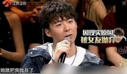 爆料刘宇宁狗仔视频大全,揭秘明星私生活瞬间