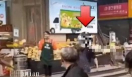 男子爆料小吃城视频下载,揭秘美食背后的秘密