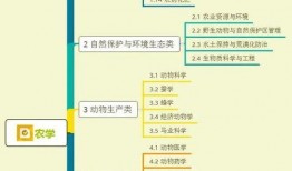 顺德奶茶爆料视频大全集,爆款饮品背后的制作秘籍大公开