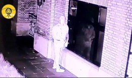 蛋糕店爆料视频,揭秘烘焙工艺与美味背后的秘密