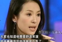 王海爆料章子怡视频播放,真相与争议