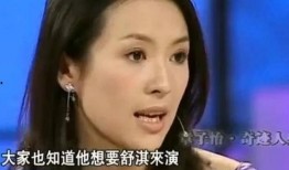 王海爆料章子怡视频播放,真相与争议