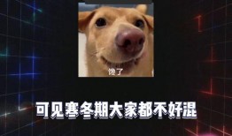 娱乐吃瓜 八卦,揭秘明星背后的八卦秘闻